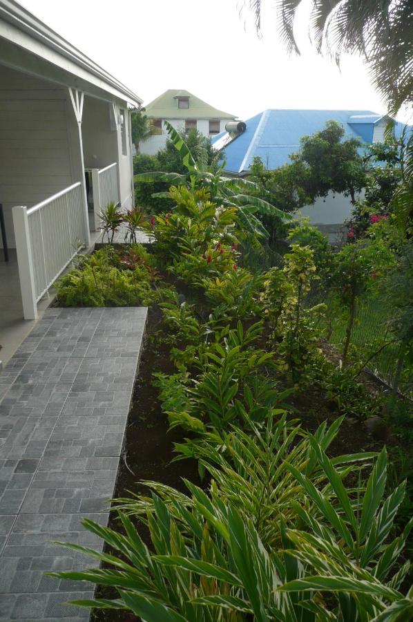 Douceurs Caraïbes, Alpinia.