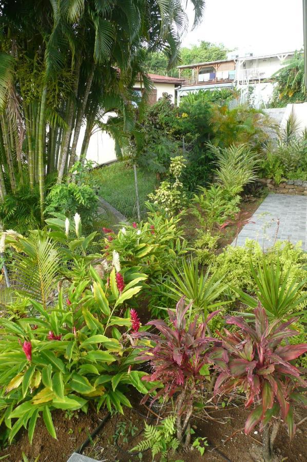 Douceurs Caraïbes, Alpinia. * Bouillante