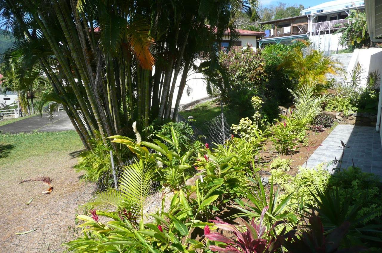 Douceurs Caraïbes, Alpinia. * Bouillante