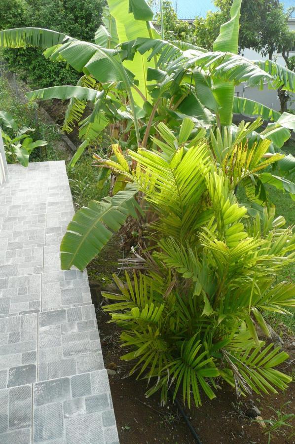 Douceurs Caraibes, Alpinia. Holiday home Bouillante